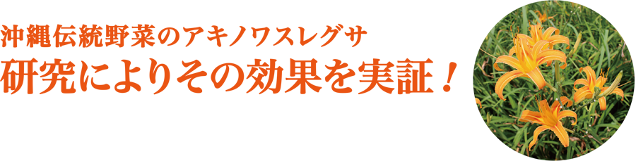 沖縄伝統野菜のアキノワスレグサ　研究によりその効果を実証！
