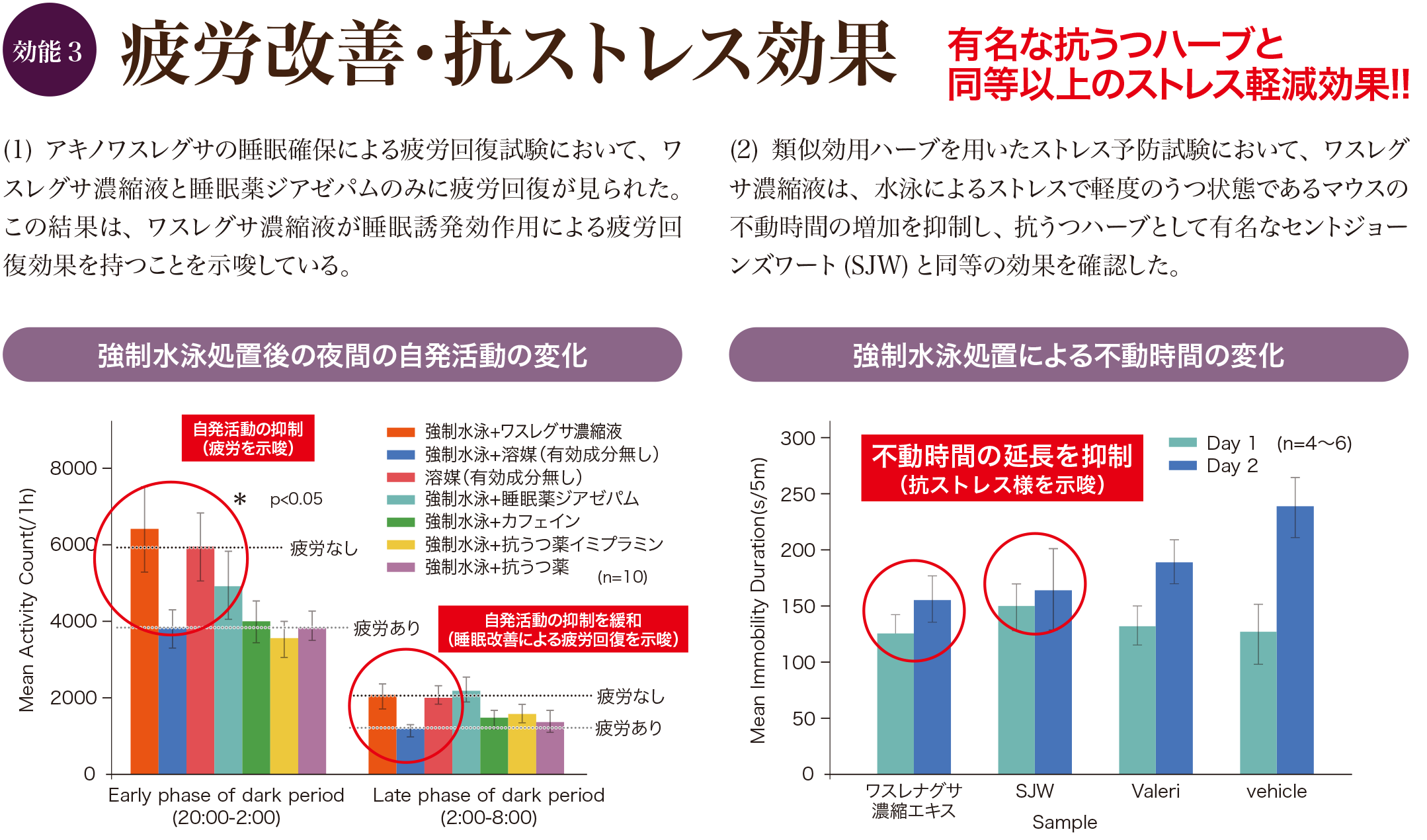 効能3 疲労改善・抗ストレス効果
